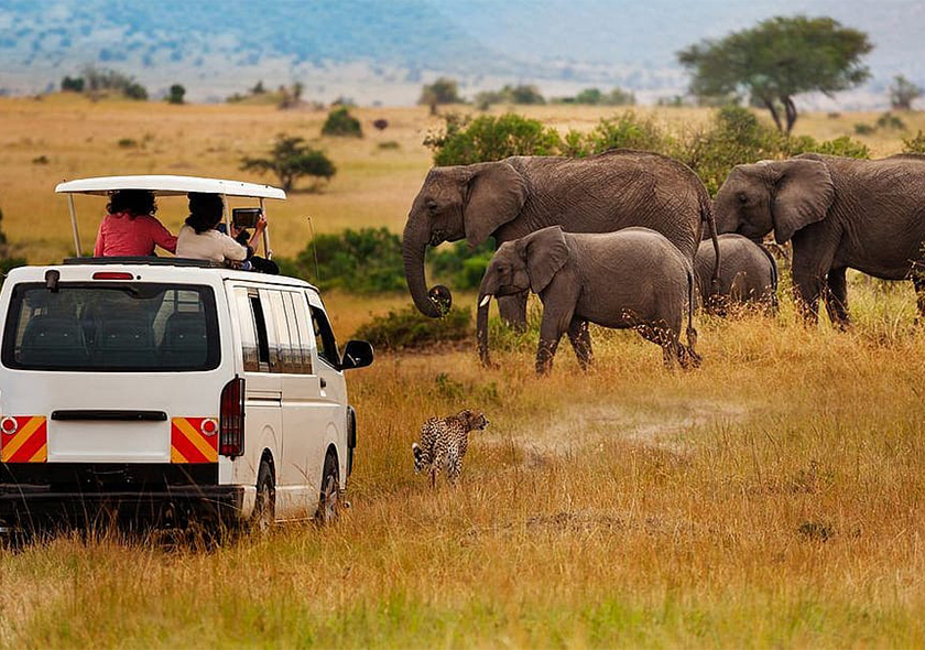 4 Days Masai Mara and Lake Nakuru Safari