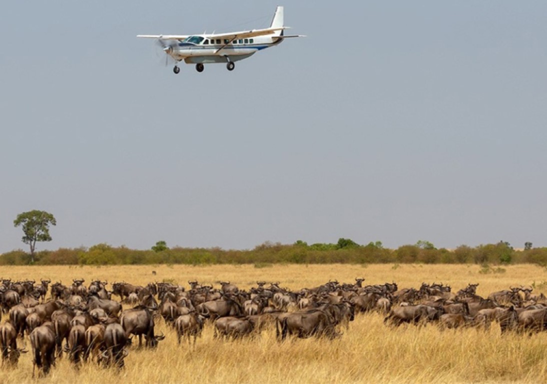 3 Days Luxury fly in Safari to Masai Mara