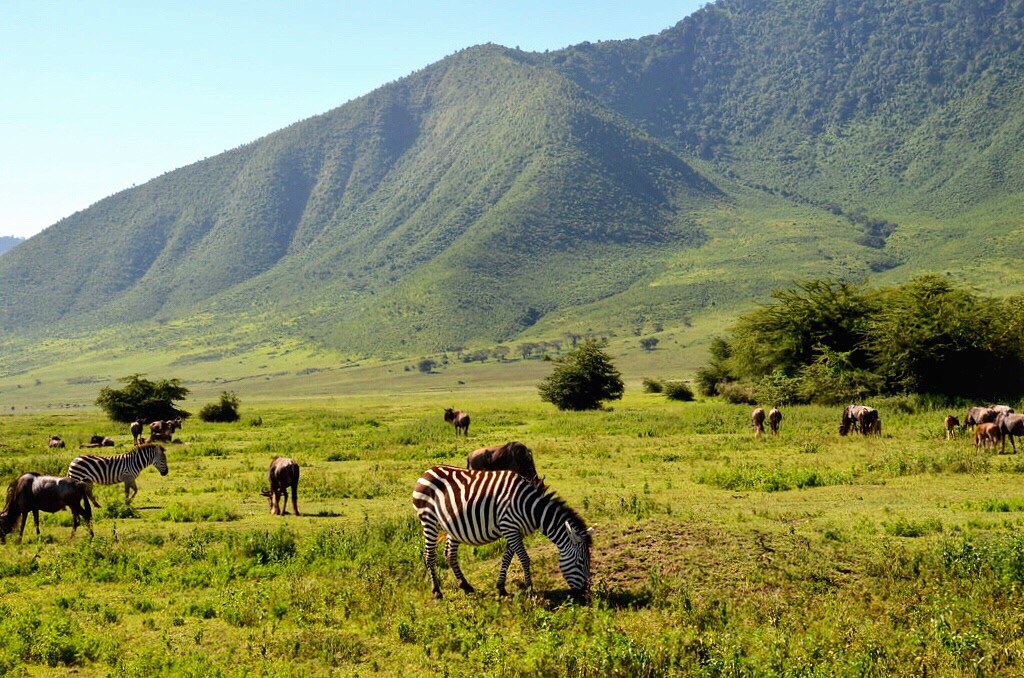 4 days Epic Tanzania wildlife and Culture Safari